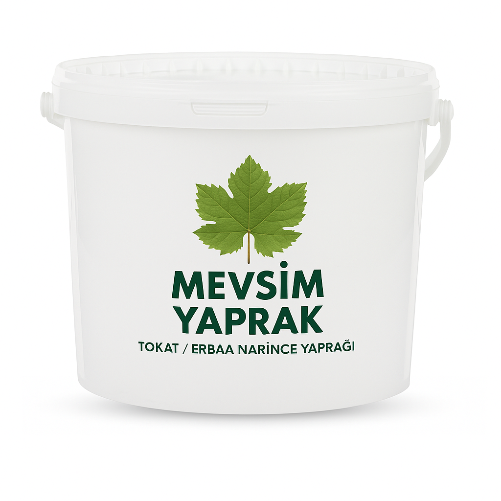 18 KG Salamura Bağ Yaprağı Kova